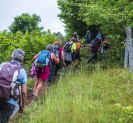 La Bresse 06-juin-2022. Marche d'Orientation. Marcheurs sur parcours à la recherche de balises. Photo: Yves Crozelon